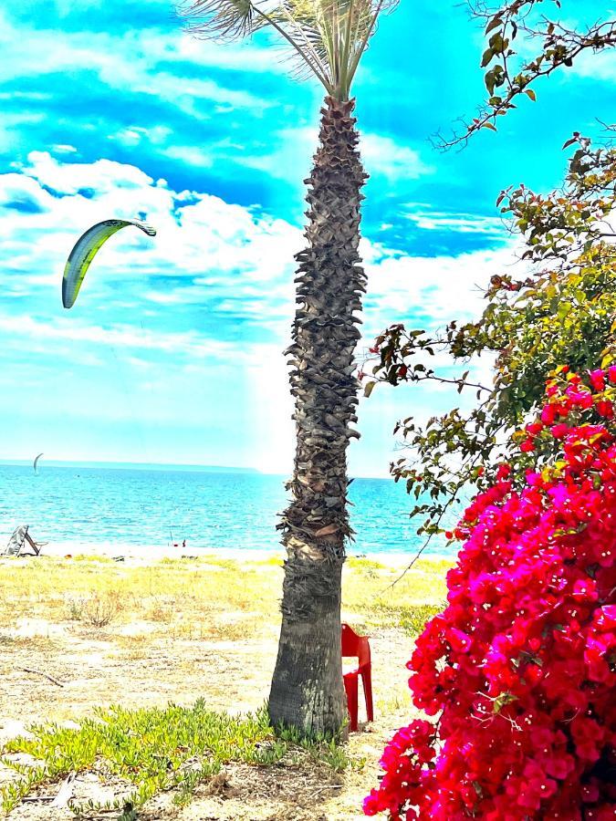 Windsurf Beach Front Torre Grande Exterior photo