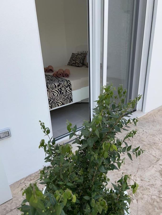 Windsurf Beach Front Torre Grande Exterior photo